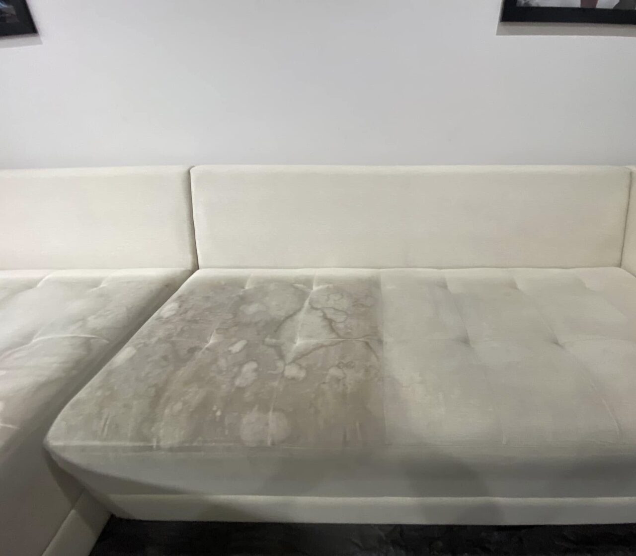 sofa cleaning