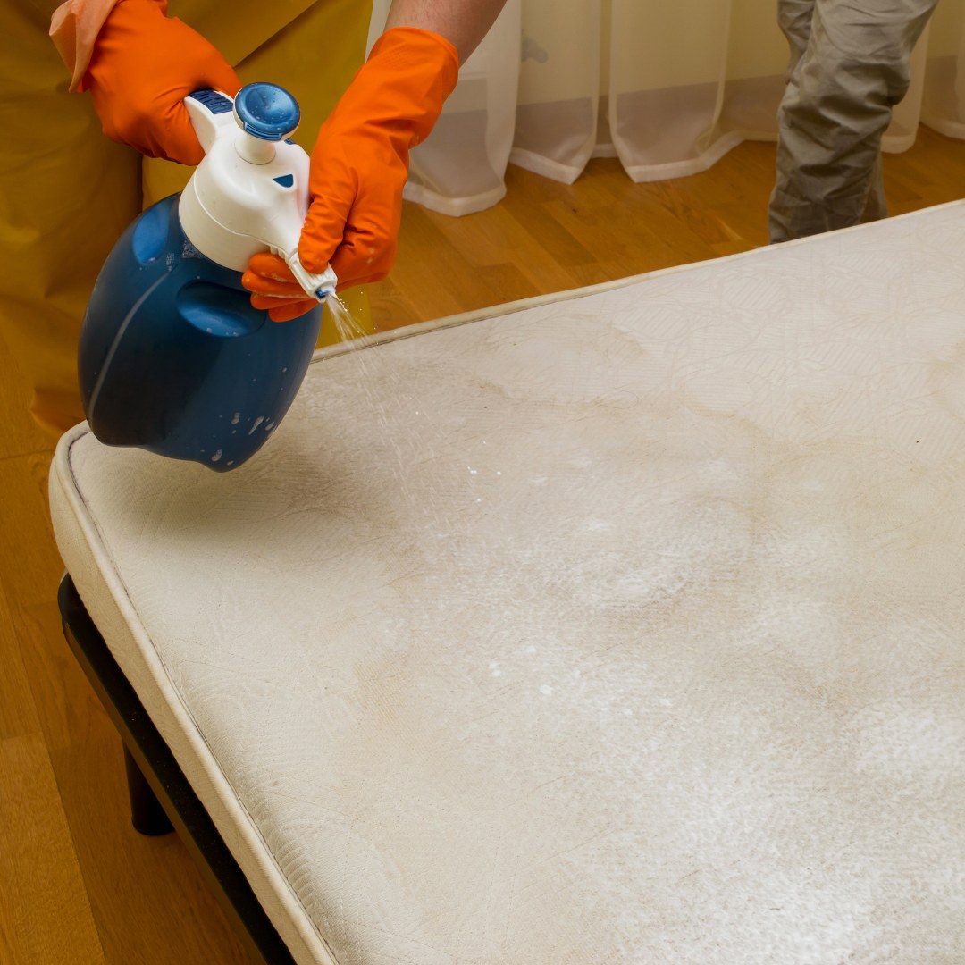 Mattress Cleaning