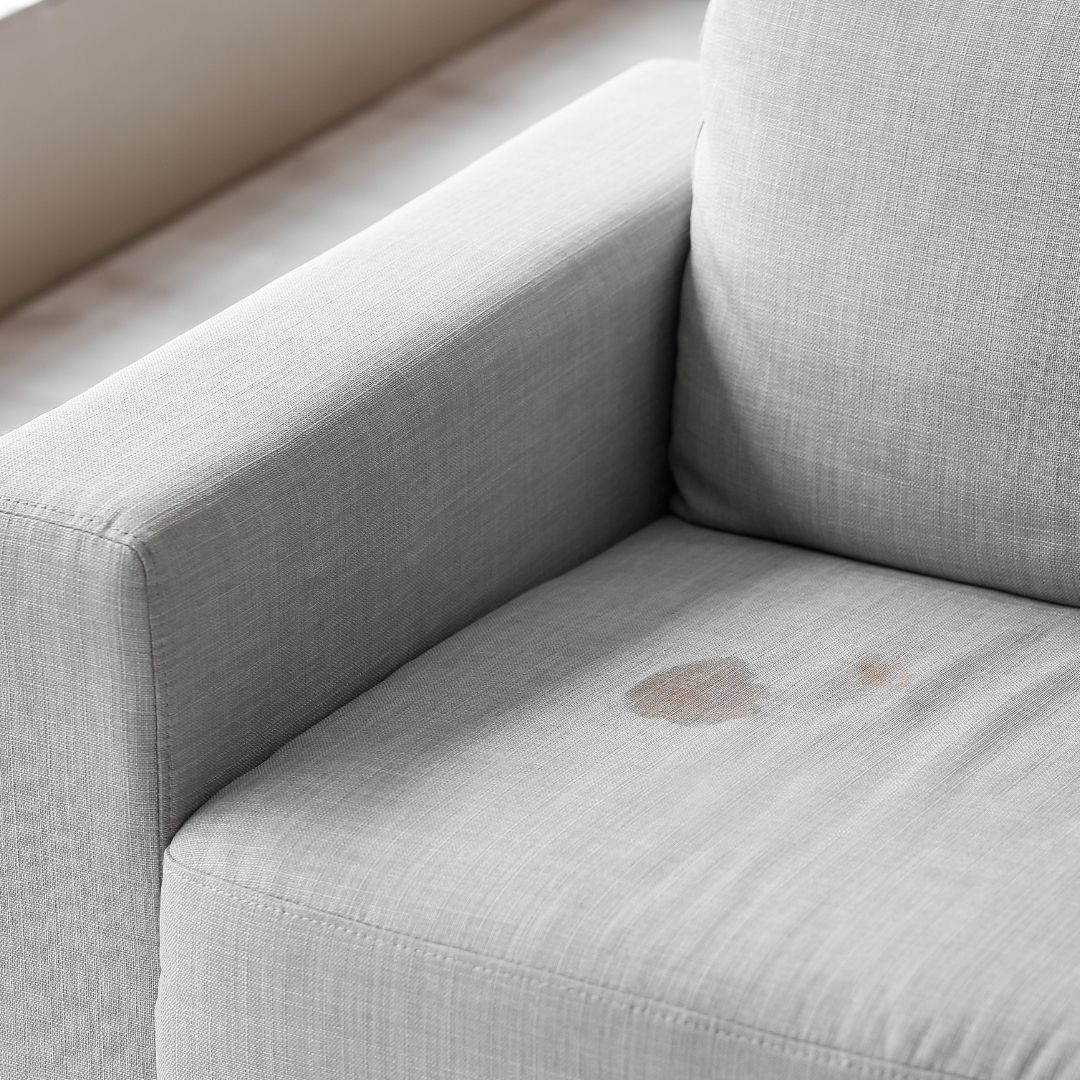 upholstery care